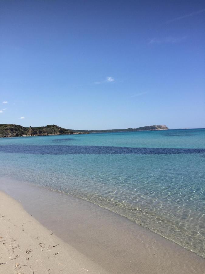 Appartamento Monolocale A Di Gallura